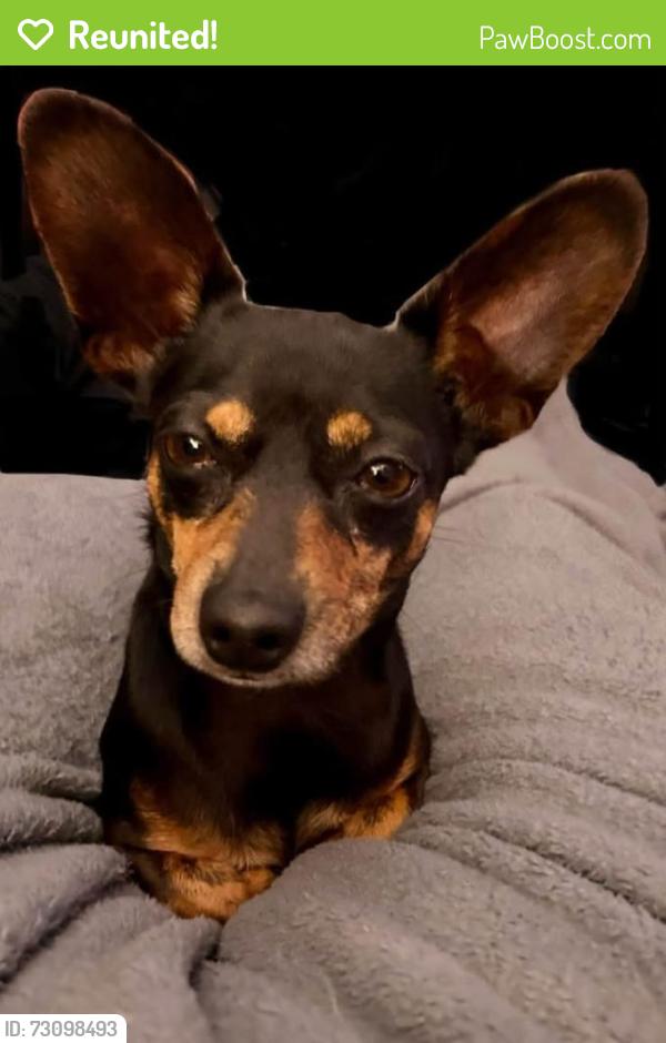 Reunited Male Dog last seen Bailey Rd, Connelly Springs, NC 28612