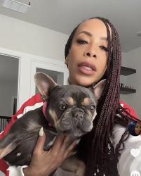 Lost Female Dog last seen Lloyd’s Road and Honey Suckle Lane, Little Elm, TX 75068