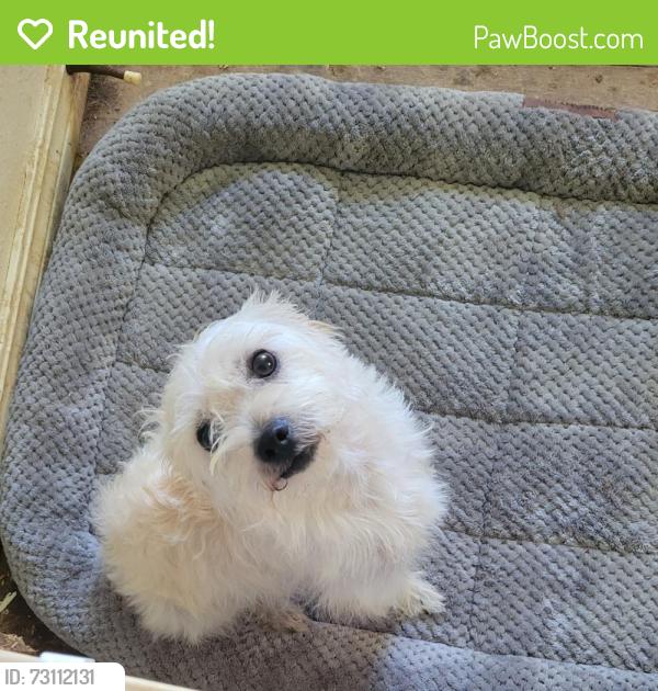 Reunited Unknown Dog last seen SE 24th St & Glenn Ave, Del City, OK 73115, USA, Del City, OK 73115