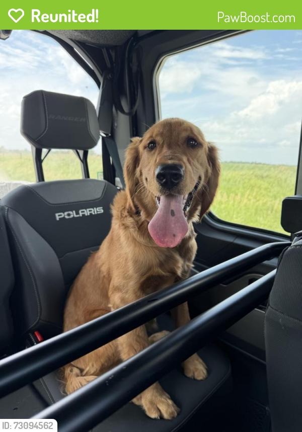 Reunited Female Dog last seen NE Jorie Way, Bondurant, IA 50035