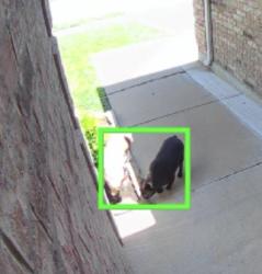 Found/Stray Unknown Dog last seen Trail Lake Drive, Fort Worth, TX 76123