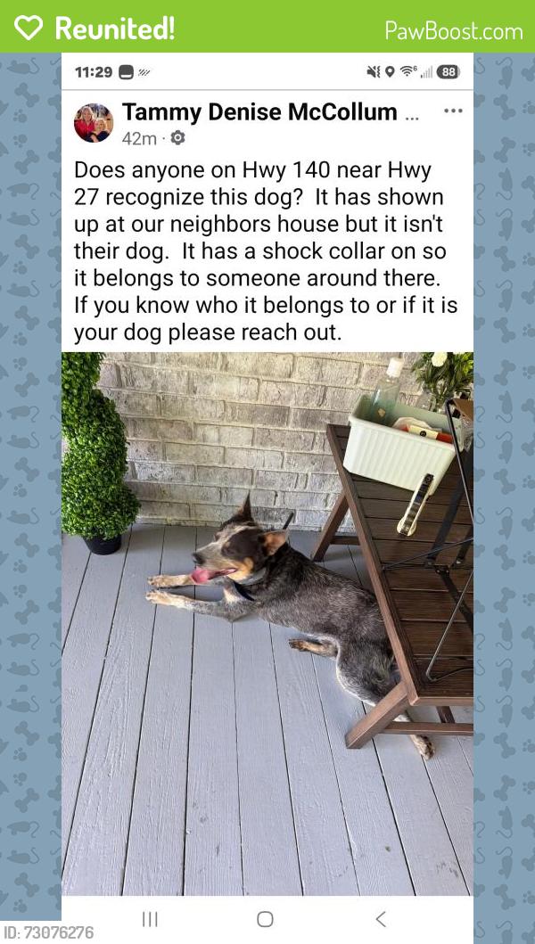 Reunited Unknown Dog last seen Turkey Mountain Road, Floyd County, GA 30105