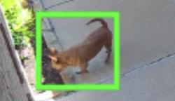 Found/Stray Unknown Dog last seen Trail Lake Dr, Fort Worth, TX 76123