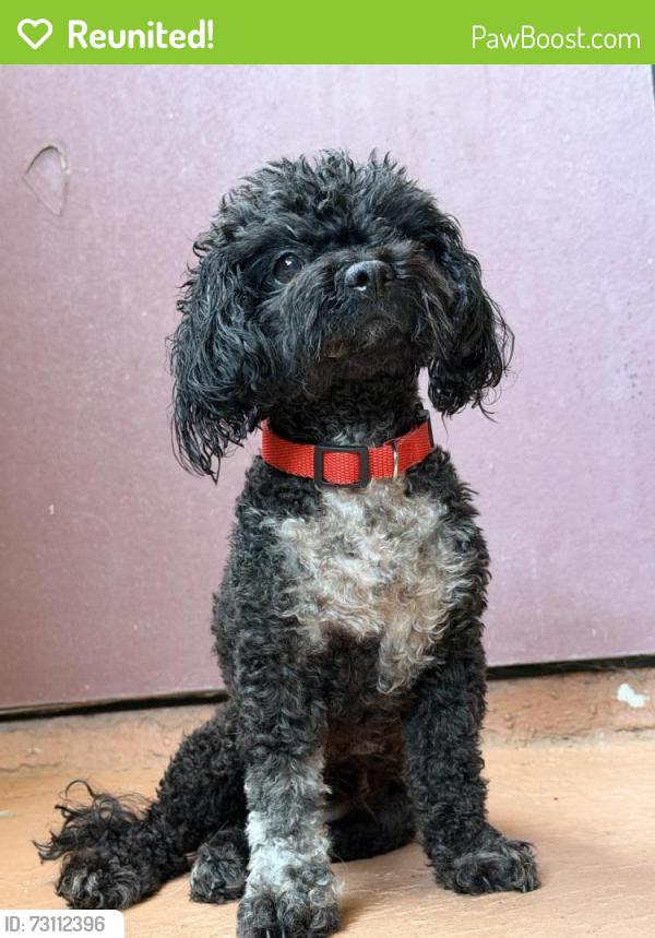 Reunited Female Dog last seen Libby Lake, Oceanside, CA 92057