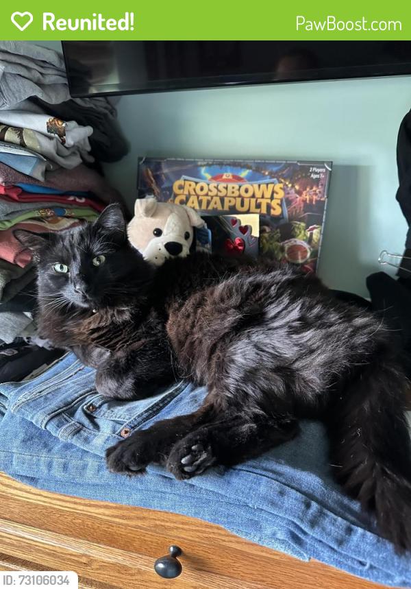 Reunited Male Cat last seen Tylersville and Kennesaw, West Chester Township, OH 45069