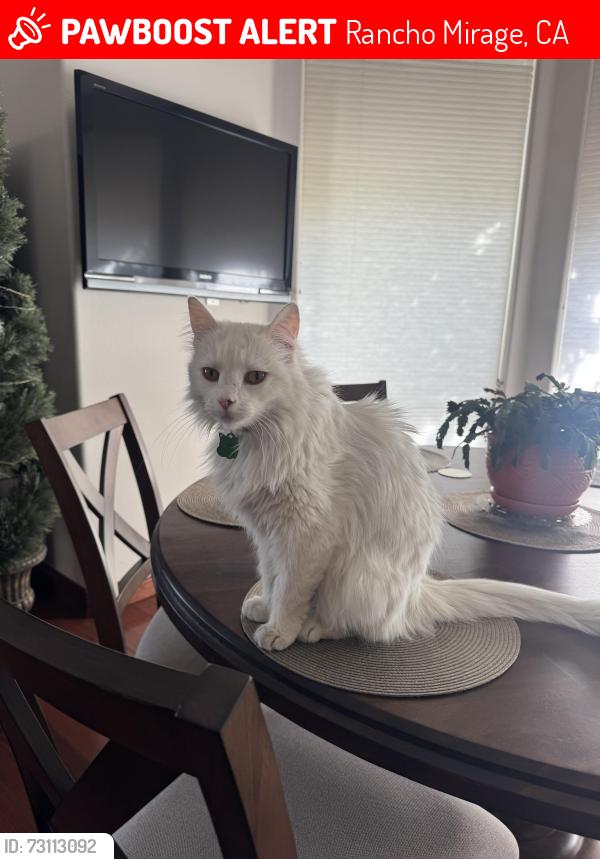 Lost Male Cat last seen Victoria falls, Rancho Mirage, CA 92270