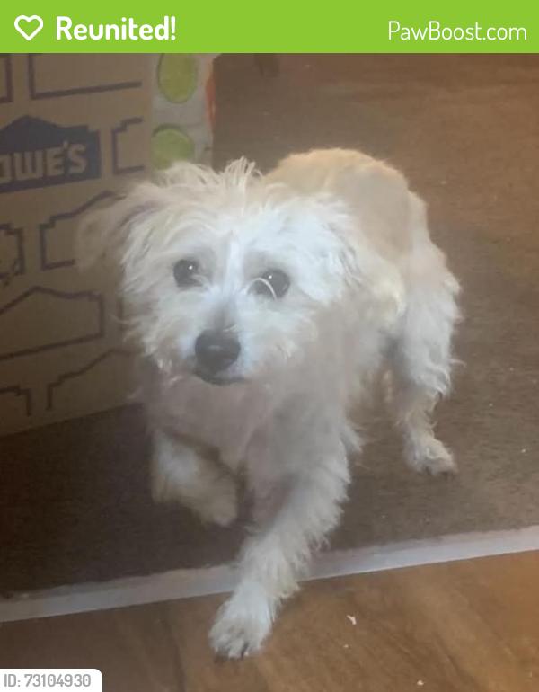 Reunited Male Dog last seen Between Sunnylane and Bryant off SE 26th street, Del City, OK 73115