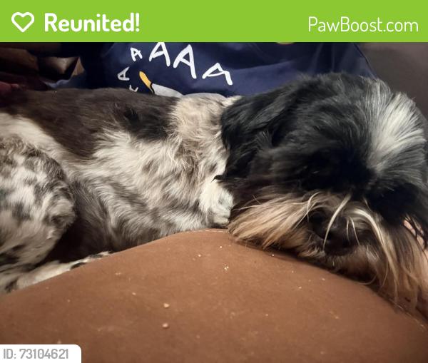 Reunited Female Dog last seen Morris Dido, Newark, TX 76071