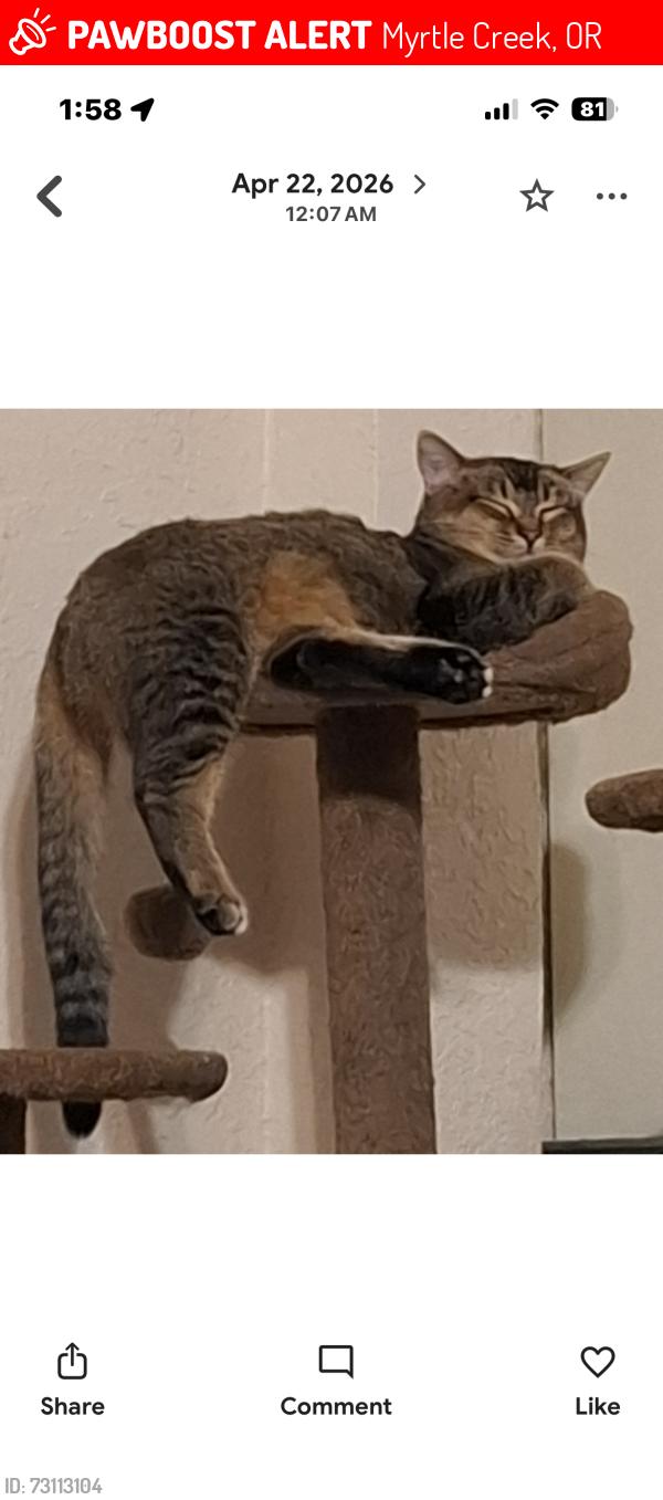 Lost Female Cat last seen Evergreen park, Myrtle Creek, OR 97457