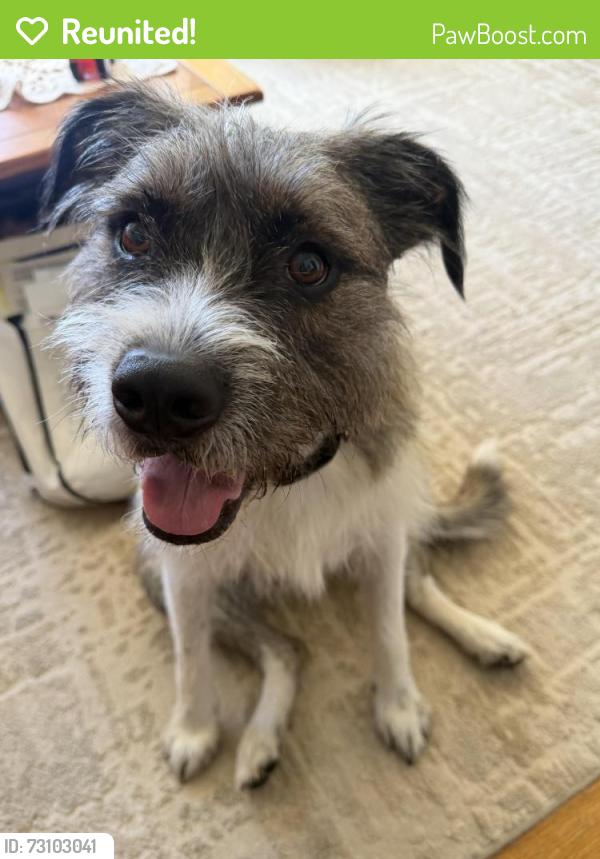 Reunited Male Dog last seen Amos Herr Park Landisville, Landisville, PA 17538