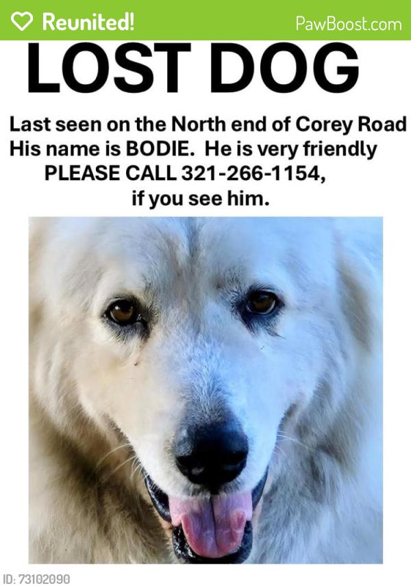 Reunited Male Dog last seen Malabar bike path, Corey rd, Malabar, FL 32950