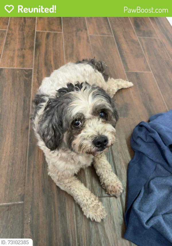 Reunited Unknown Dog last seen Near Pritchard Rd. and Sportsman Club Rd., Jacksonville, FL 32219