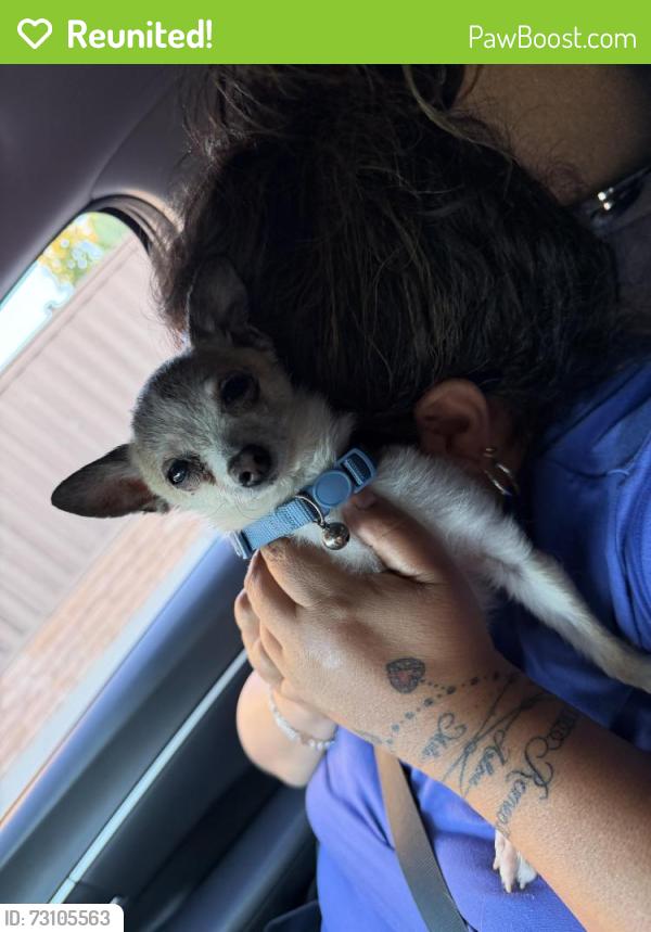 Reunited Male Dog last seen Colonsay Way, Sacramento, CA 95829