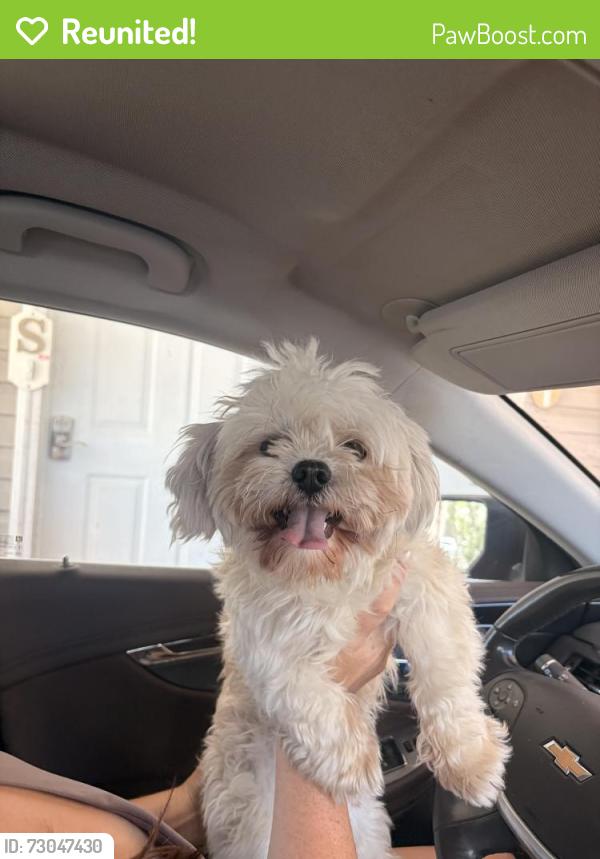 Reunited Male Dog last seen Near Central Davis Jr High, Layton, UT 84041