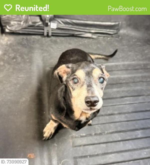 Reunited Male Dog last seen Port St. Lucie, Port St. Lucie, FL 34986