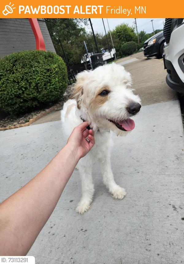 Found/Stray Male Dog last seen Dairy Queen Parking lot, Fridley, MN 55432