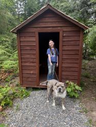 Reunited Male Dog last seen 73rd and Puget beach rd NE, Thurston County, WA 98516