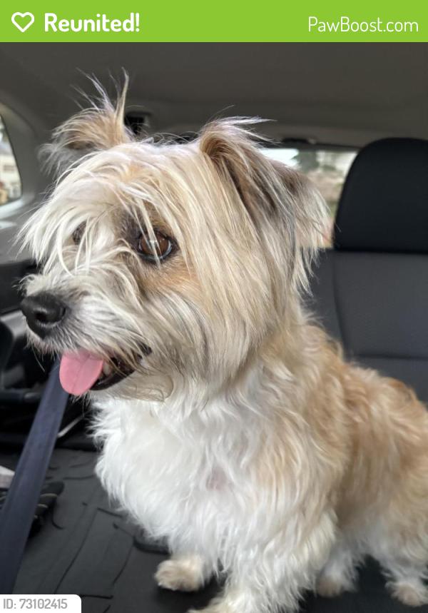 Reunited Female Dog last seen Trowbridge and Radford St. 79903, El Paso, TX 79998