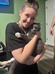 Reunited Male Cat last seen Houston and Pippin rd, Cincinnati, OH 45251