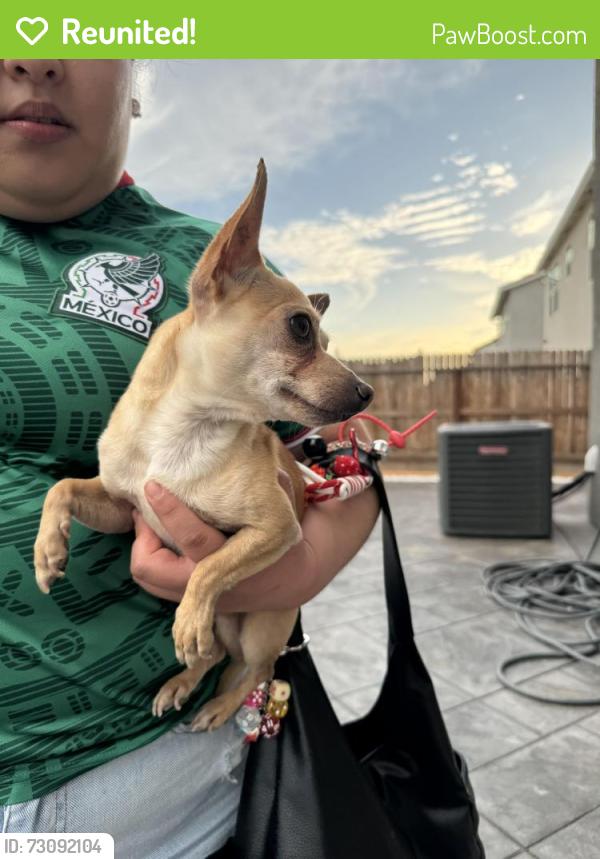 Reunited Male Dog last seen Mercey springs by Starbucks, Los Banos, CA 93635