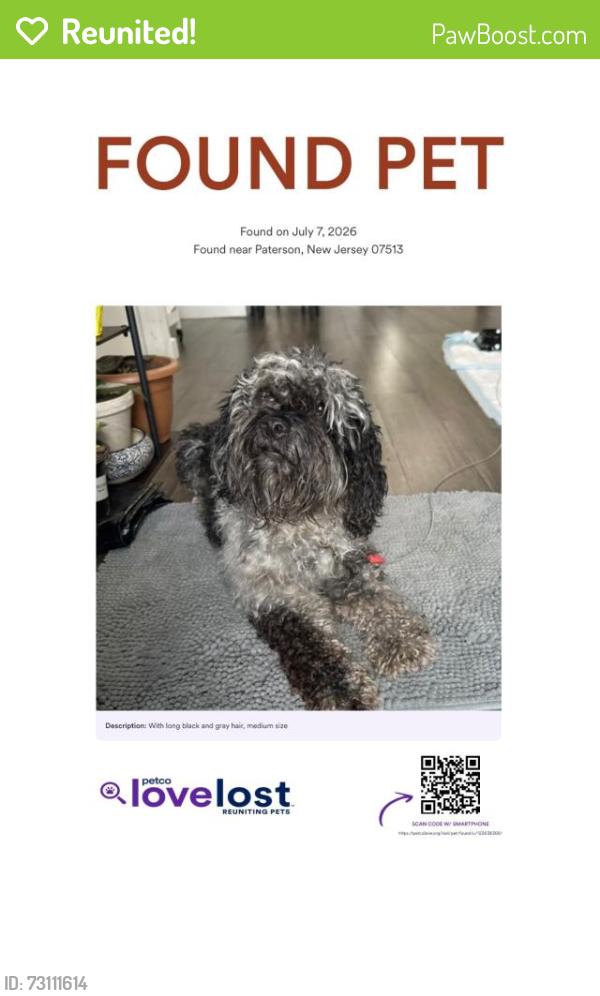 Reunited Male Dog last seen Paterson new jersey, Paterson, NJ 07513