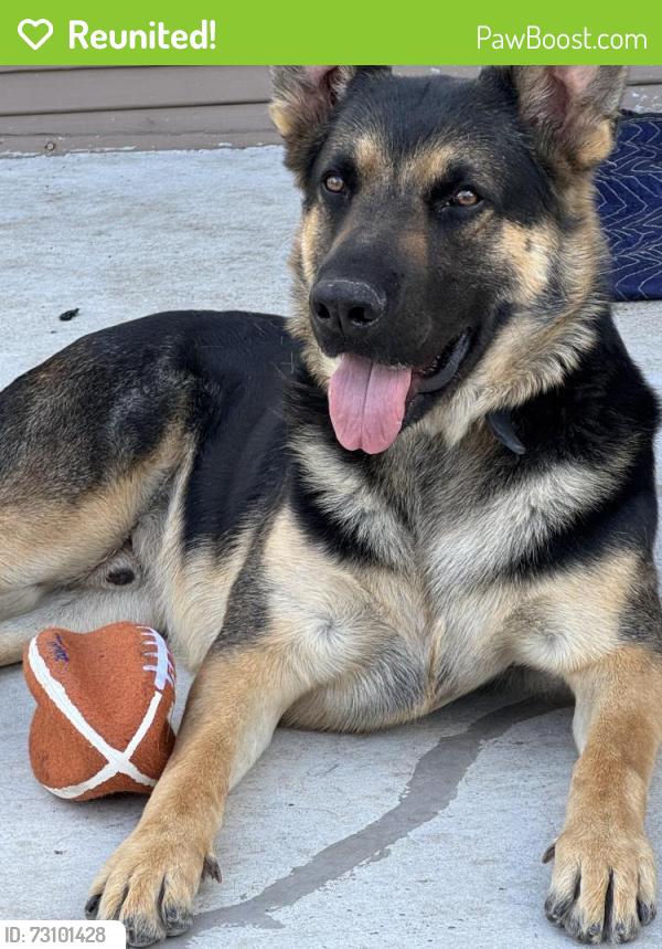 Reunited Male Dog last seen Hoover Ave and Westway--Palm Heights, San Antonio, TX 78225