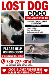 Reunited Male Dog last seen Exit 2, Homestead, FL 33033