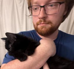 Reunited Female Cat last seen Near Mesa Mountain Way and Charlotte Dr, Colorado Springs, CO 80923