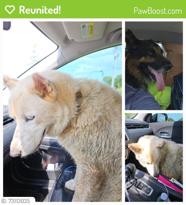 Reunited Unknown Dog last seen New Salem and Barfield, Murfreesboro, TN 37128