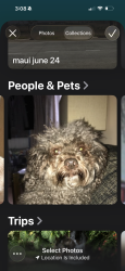Lost Male Dog last seen kensington drive and saville road, noblesville, Noblesville, IN 46060