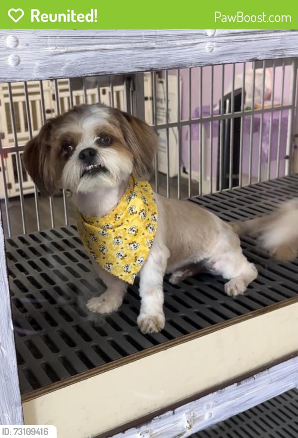 Reunited Female Dog last seen Near Norwalk Blvd, Norwalk, CA 90650, USA, Norwalk, CA 90650