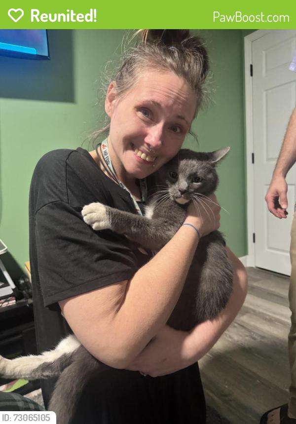 Reunited Male Cat last seen Houston and Pippin rd, Cincinnati, OH 45251
