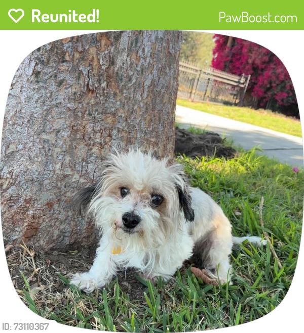 Reunited Male Dog last seen Near W Mesa St, Muscoy, CA 92407, USA, Muscoy, CA 92407