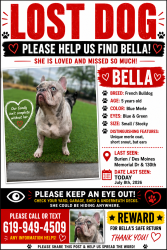 Reunited Female Dog last seen North SeaTac park, Burien, WA 98168