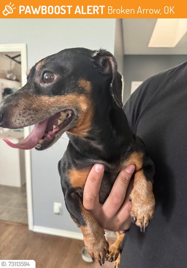 Found/Stray Male Dog last seen 91st between Olive & Aspen, Broken Arrow, OK 74012