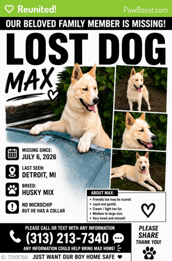 Reunited Male Dog last seen Thaddeus , Jefferson, Detroit, MI 48209