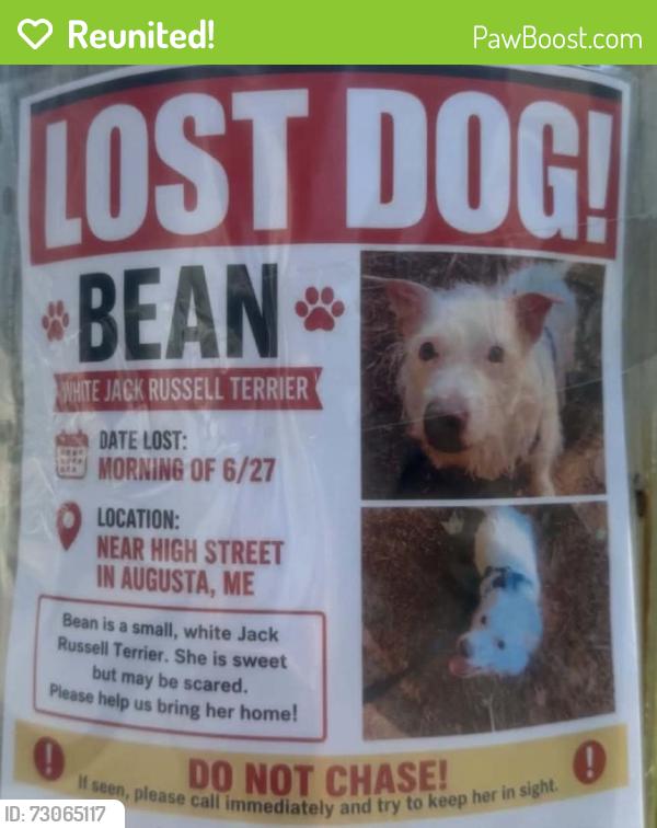 Reunited Female Dog last seen High street, Augusta, ME 04330