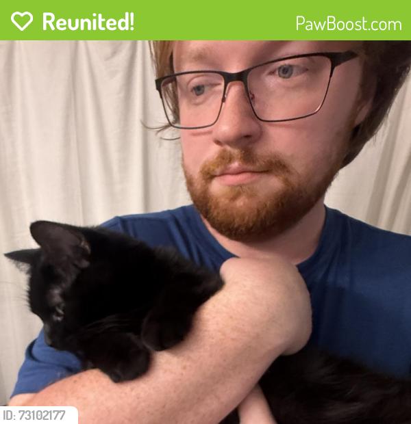 Reunited Female Cat last seen Near Mesa Mountain Way and Charlotte Dr, Colorado Springs, CO 80923