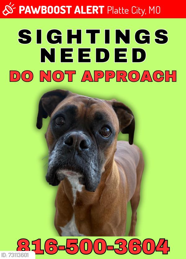 Lost Male Dog last seen 136th and Nevada East of I-435, Platte City, MO 64079
