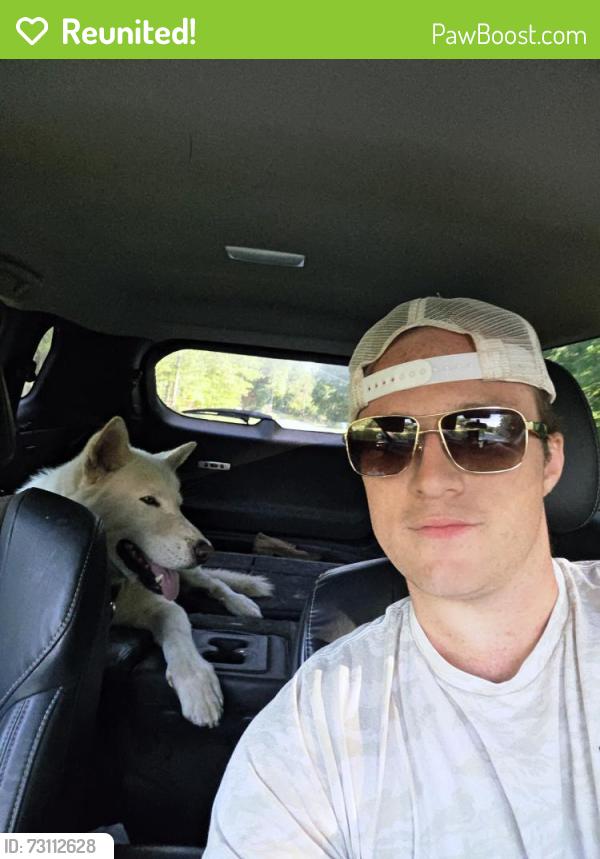 Reunited Male Dog last seen Lake Thicketty, Gaffney, SC 29341