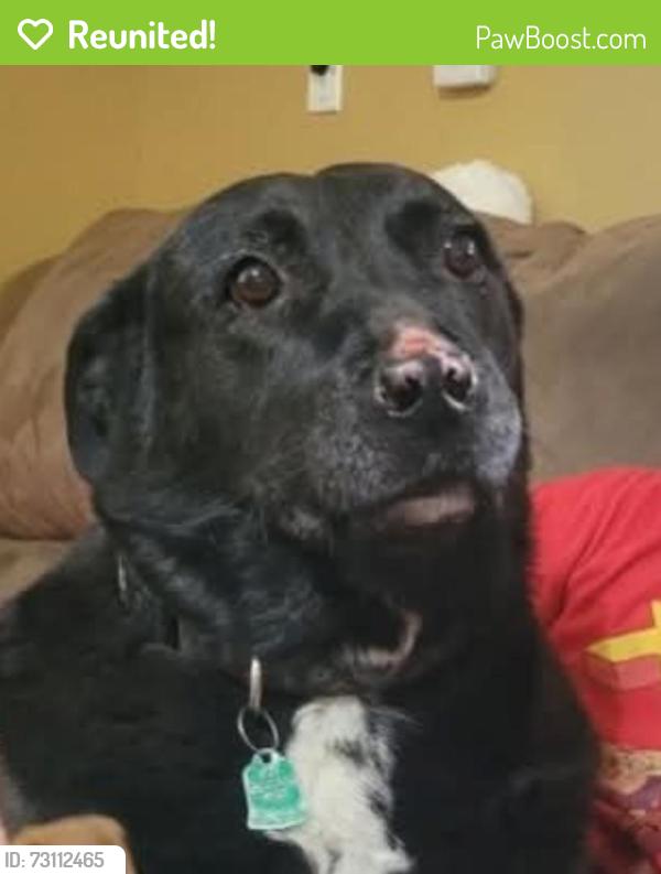 Reunited Male Dog last seen Cliffrose & Artissima, Los Lunas, NM 87031