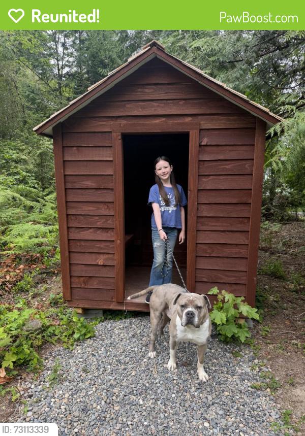 Reunited Male Dog last seen 73rd and Puget beach rd NE, Thurston County, WA 98516