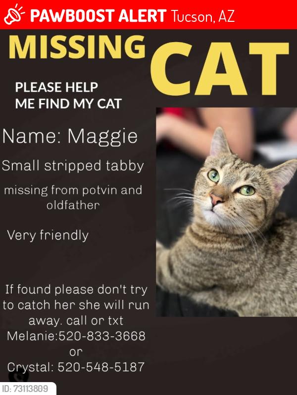 Lost Female Cat last seen Thornydale and tangerine, Tucson, AZ 85742