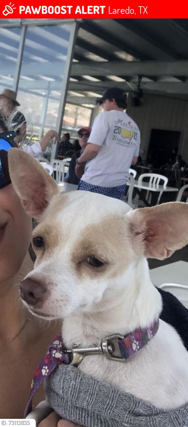 Lost Female Dog last seen Lyon and Arkansas, Laredo, TX 78043