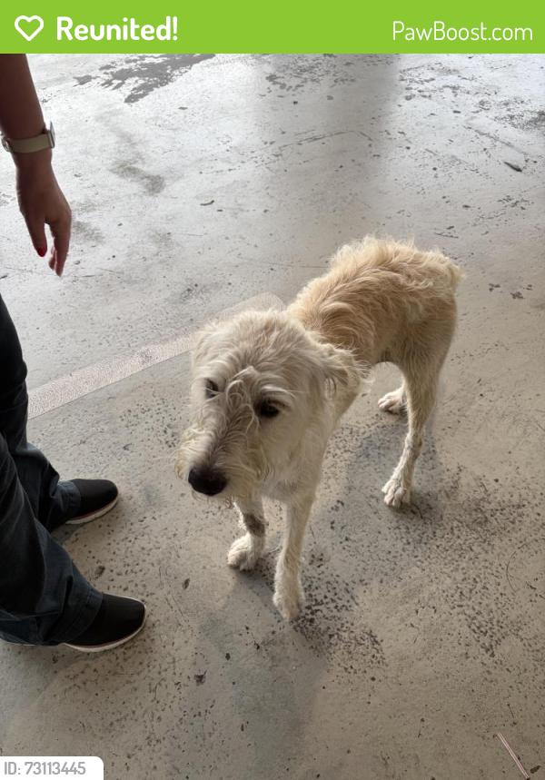 Reunited Female Dog last seen Sterling Premium Select Johnston, Lafayette, LA 70503