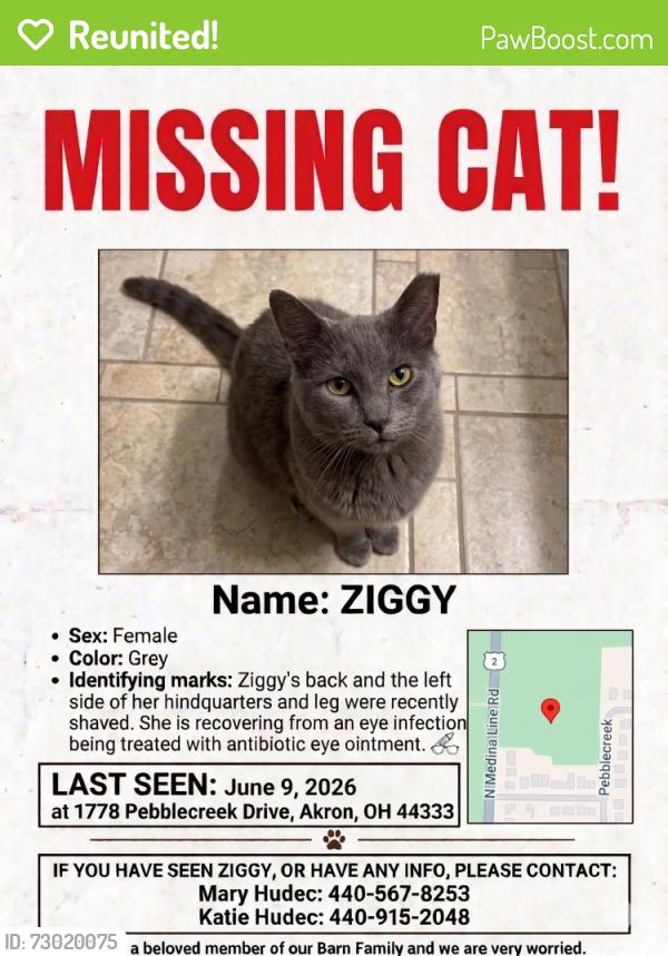 Reunited Female Cat last seen Capall Equestrian Center on North Medina Line near Remse, Akron, OH 44333