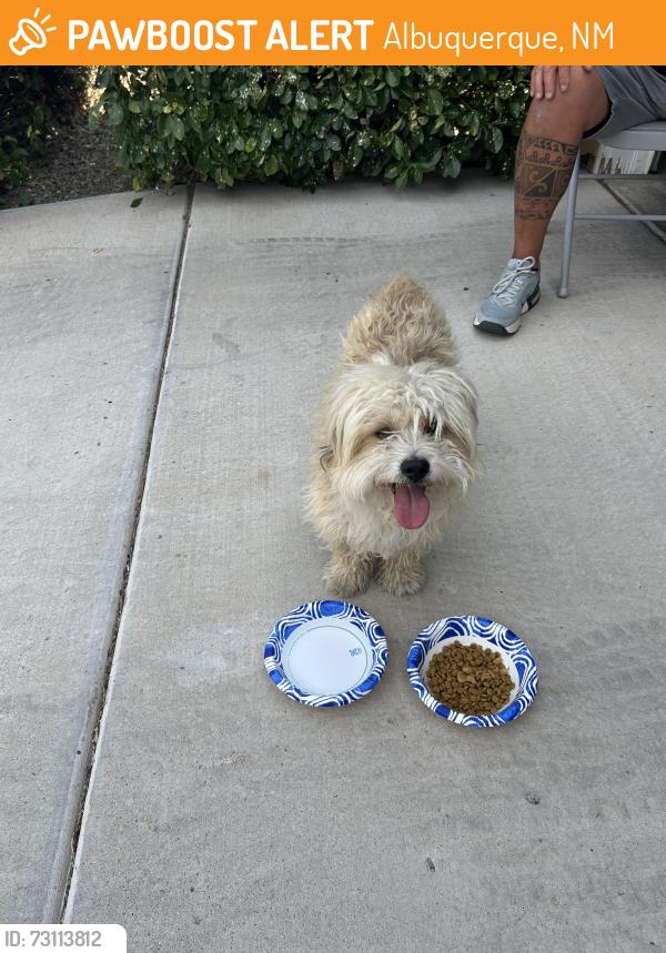 Found/Stray Male Dog last seen Rio Rojo, Albuquerque, NM 87121