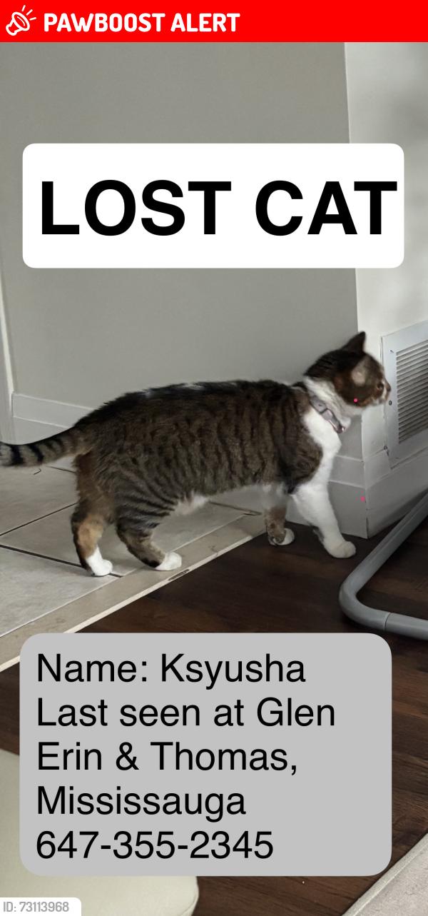 Lost Female Cat last seen St Thomas & Glen Erin, Mississauga, ON L5M 6H1