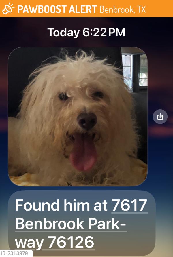 Found/Stray Male Dog last seen Near Benbrook parkway, Benbrook, TX 76126