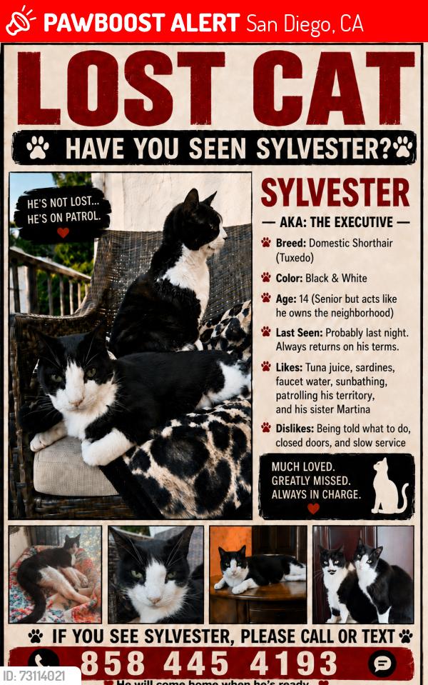 Lost Male Cat last seen Vista & Monroe, Kensington, San Diego CA, San Diego, CA 92116